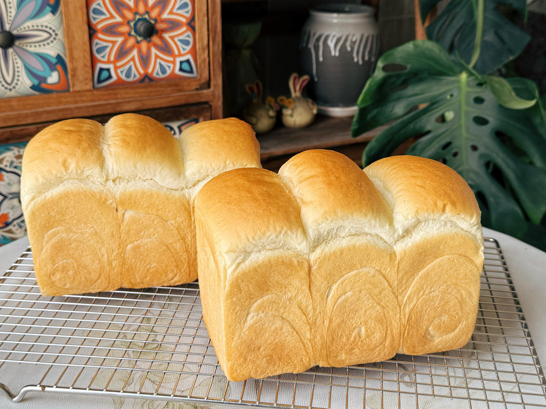 香草吐司—中种法