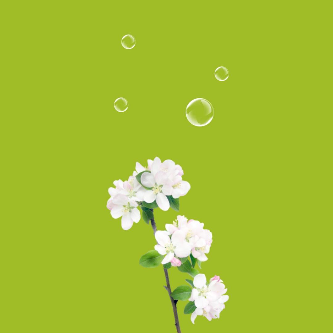 漏网的雨