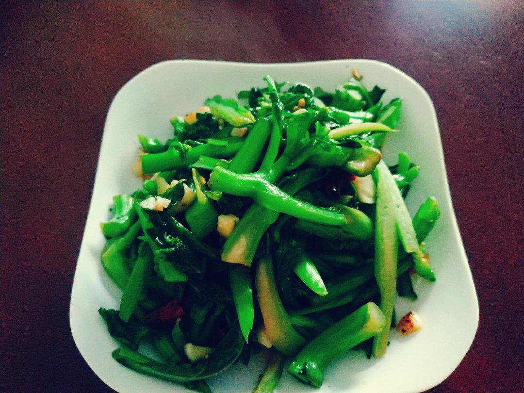 素炒菜心