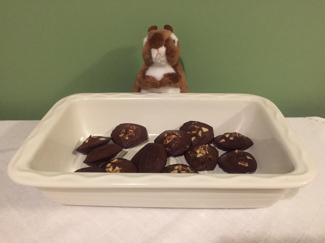 咖啡百利甜费南雪