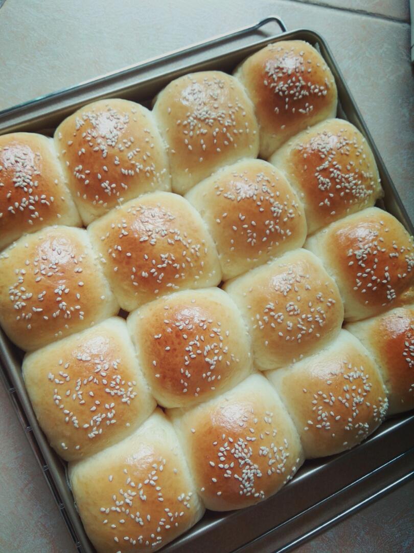 鲜奶油小餐包（一次发酵）