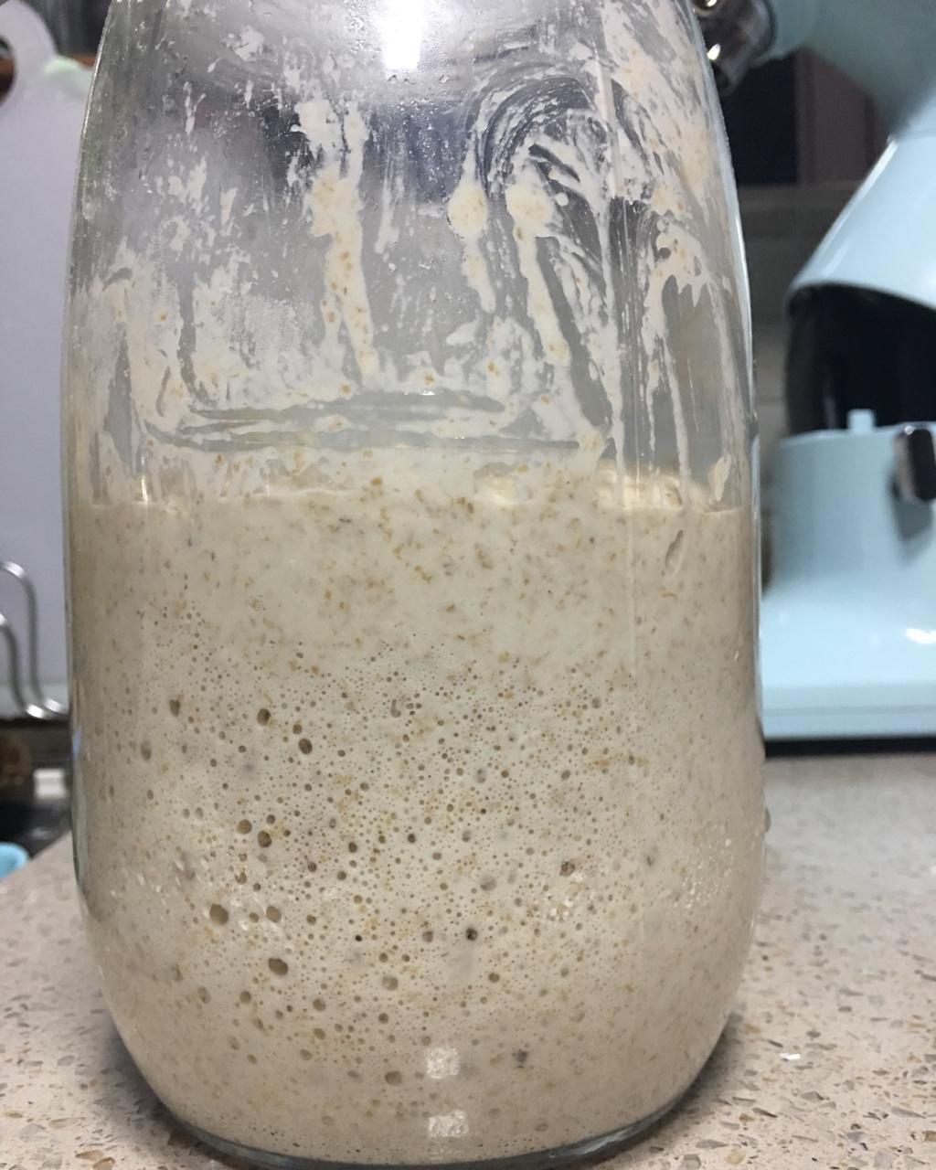 天然酵母宝宝养成记