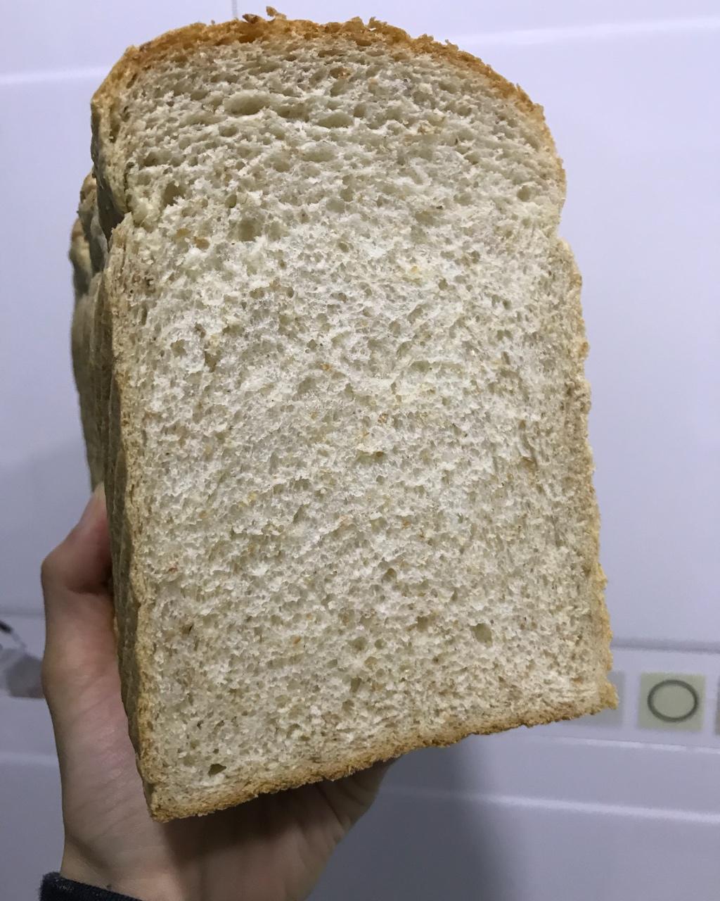 波兰种全麦吐司