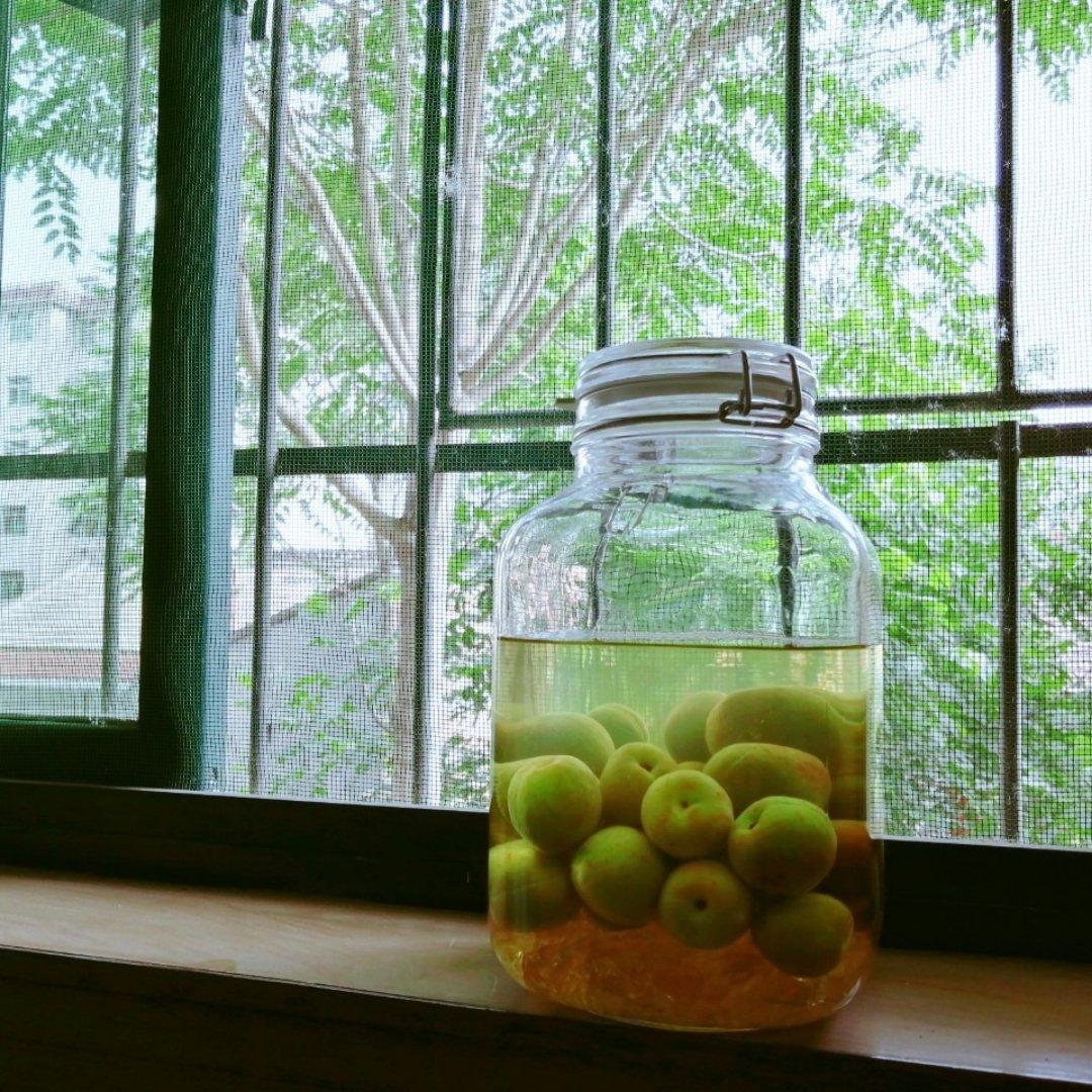 青梅酒（优的春日私酿第二話）