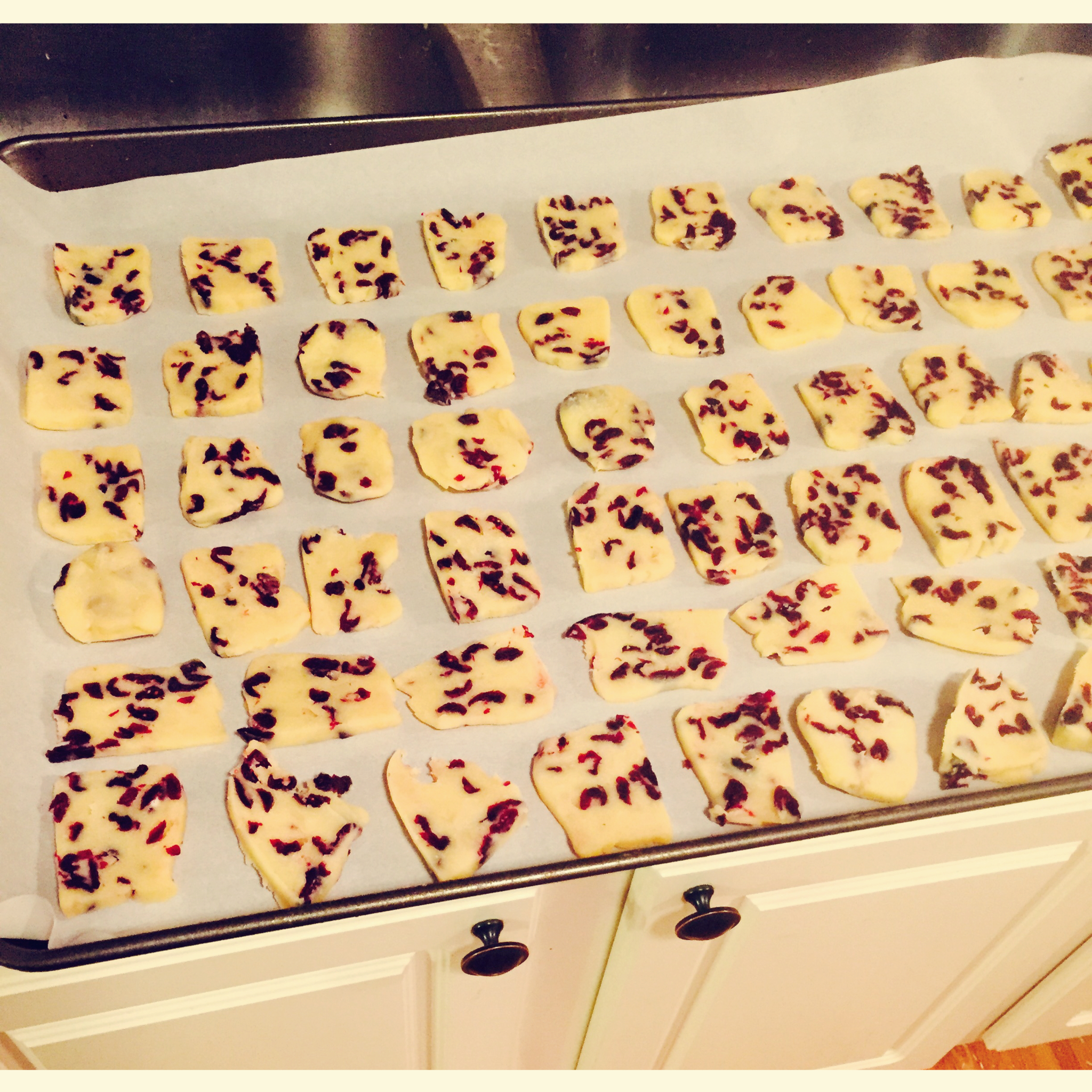 《Tinrry+》蔓越莓曲奇（超简单曲奇配方）