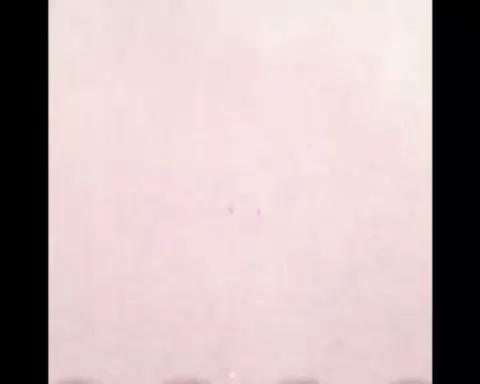 🥞菠菜小米软发糕