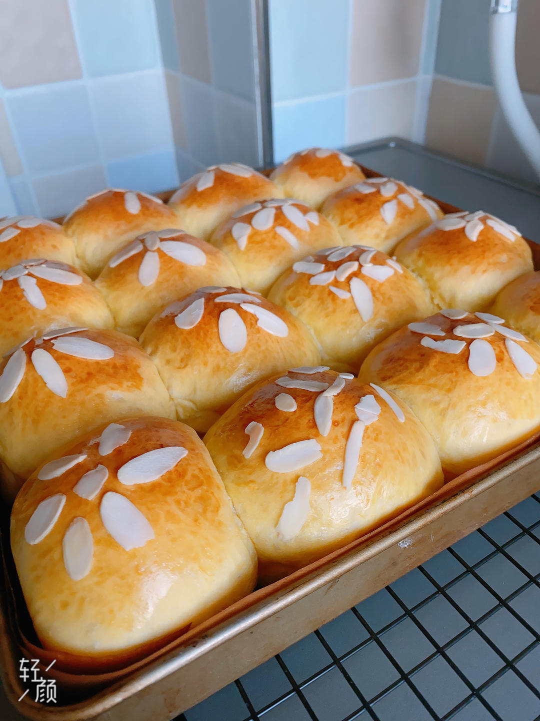 南瓜奶油小餐包（一次发酵）