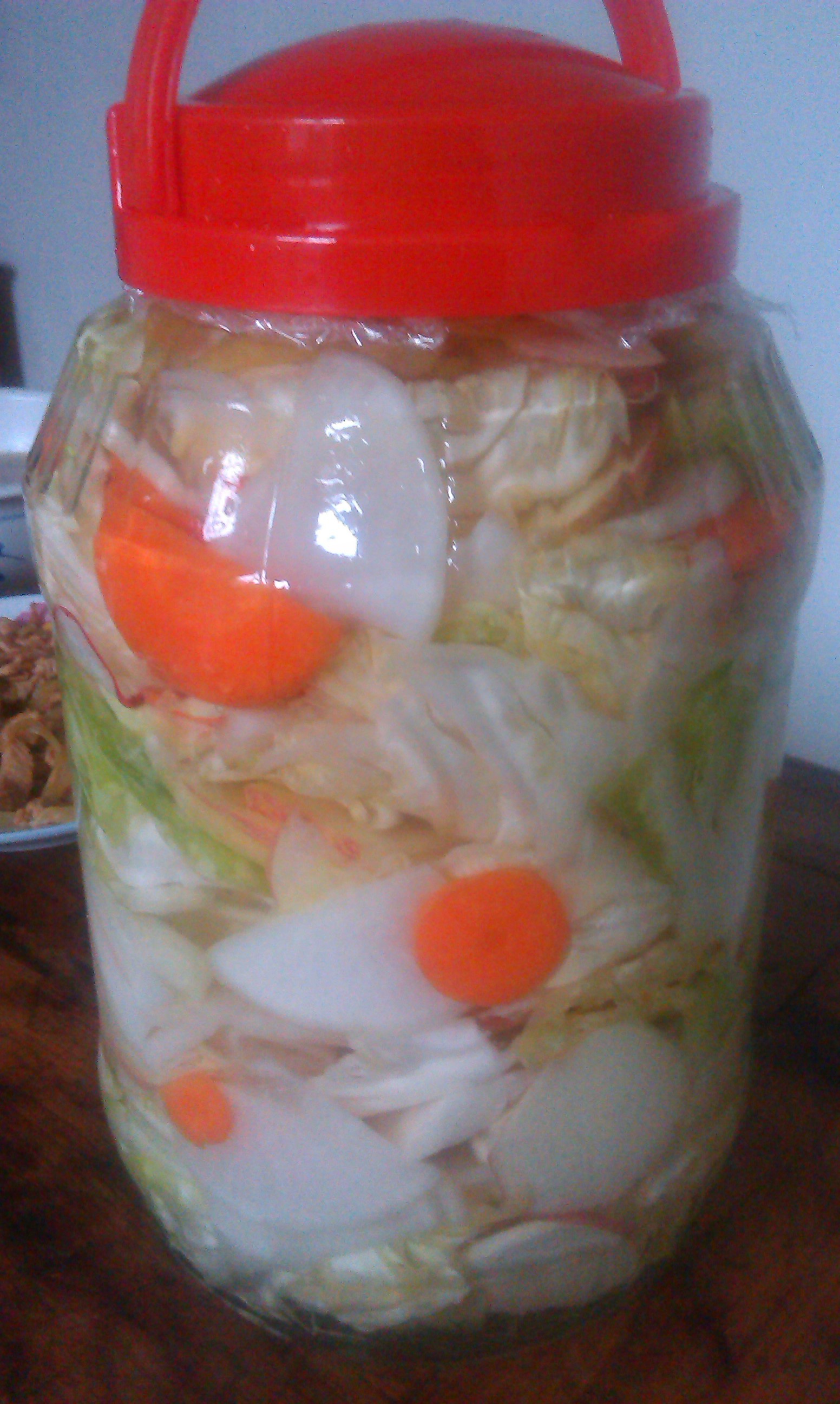 孽,红唇做的快手冰镇泡菜