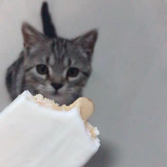 仙仙貝儿