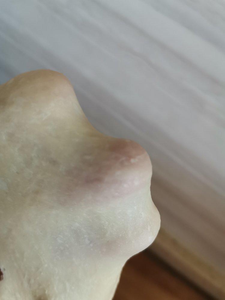 脆底蜂蜜小面包