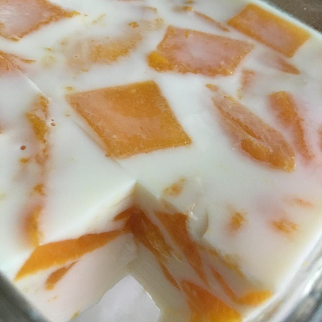 芒果牛奶布丁