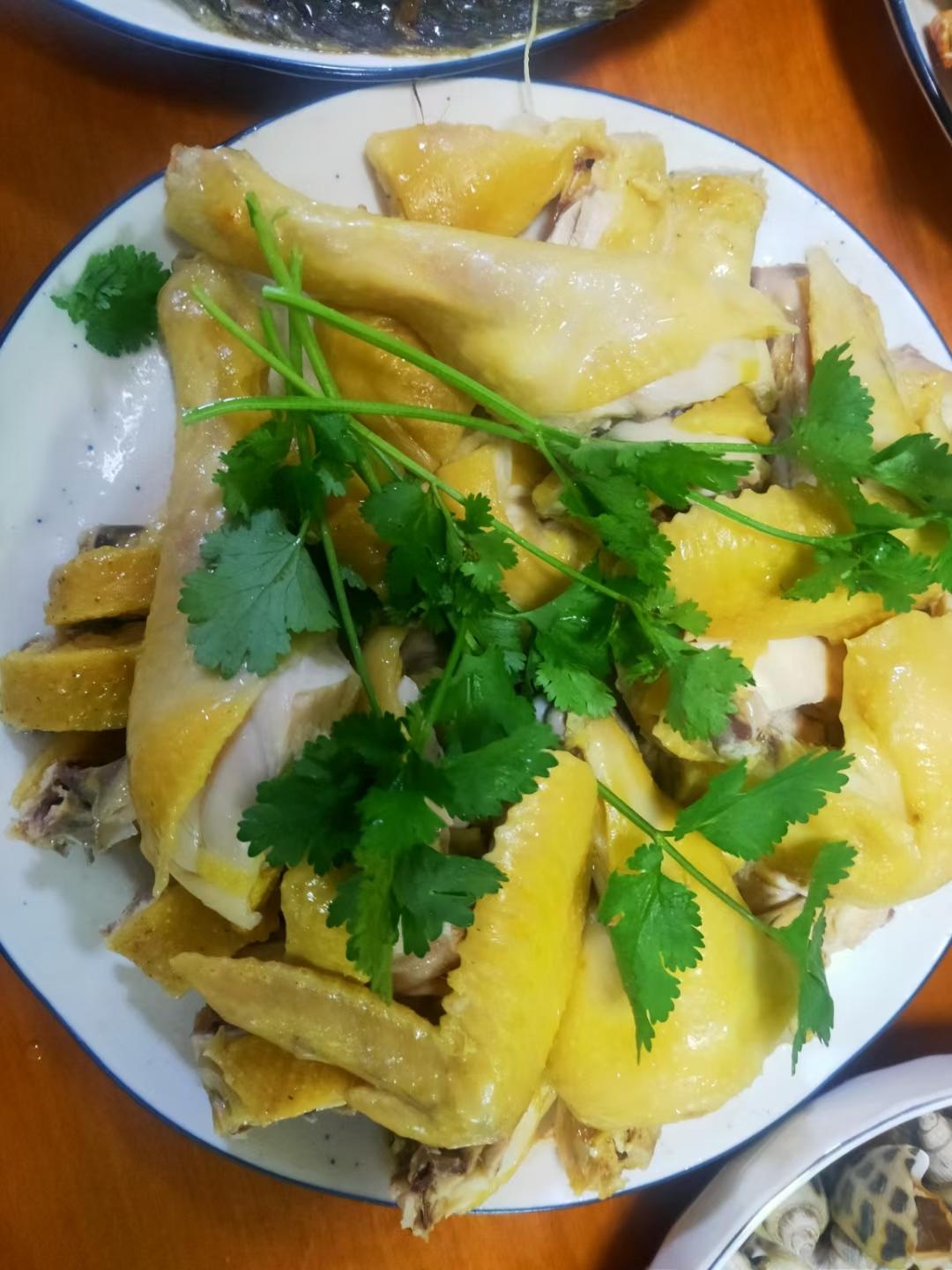 广东湛江特色美食——隔水蒸鸡 原汁原味 鸡滑肉嫩