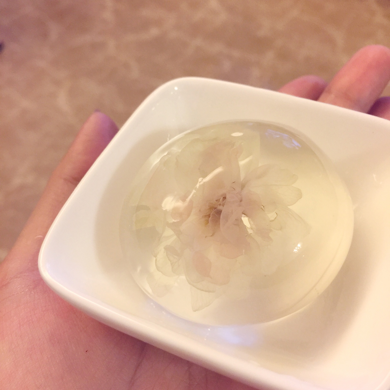 夏日の白凉粉【水】