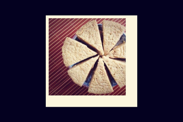 ✿糕点篇✿酵母版奶香红糖马拉糕