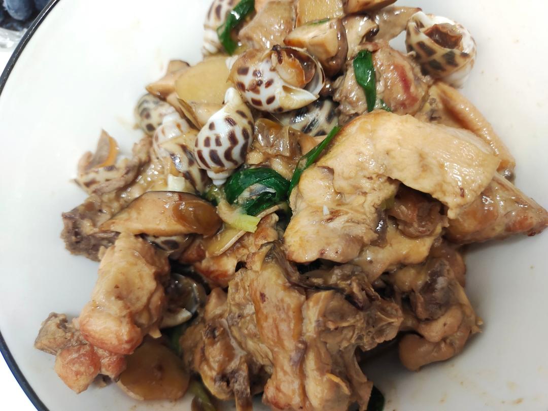 花螺焖鸡