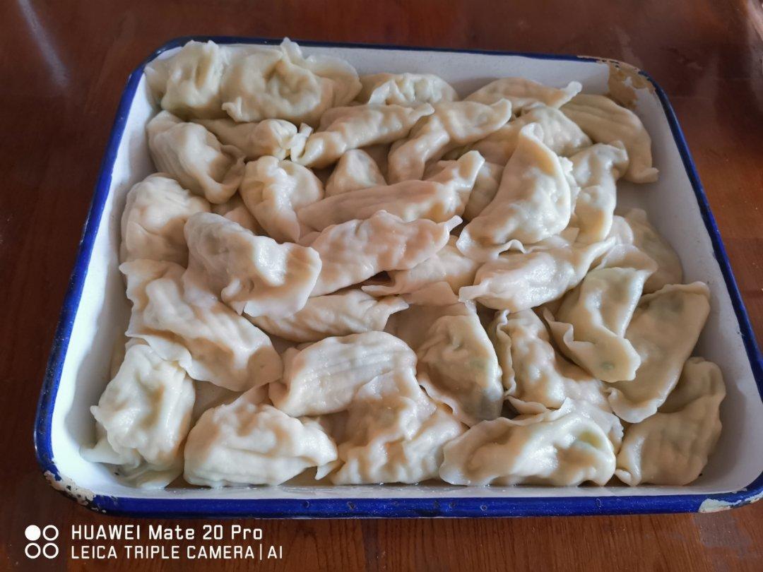西葫芦鸡蛋虾仁水饺