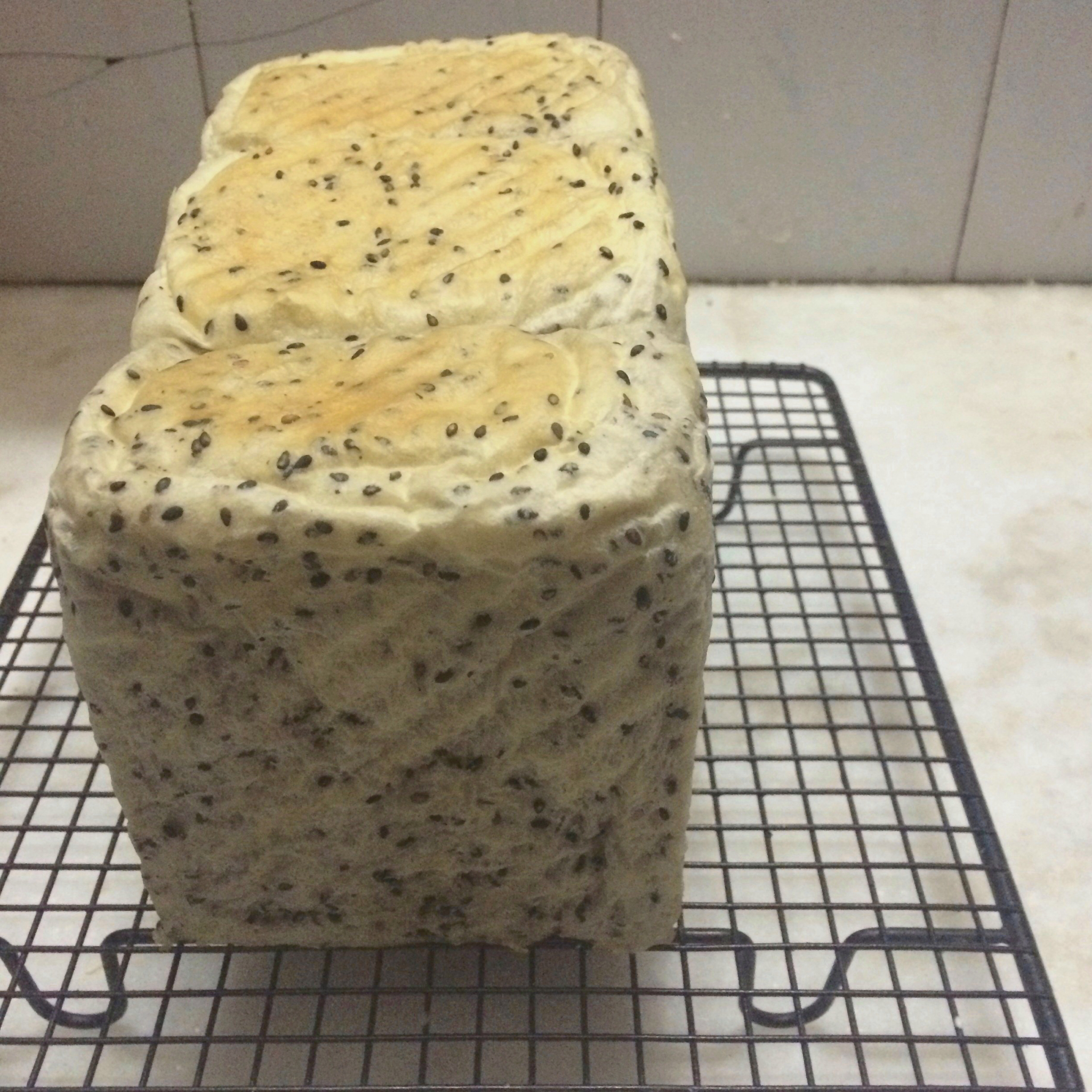 西川功晃- 黑芝麻土司