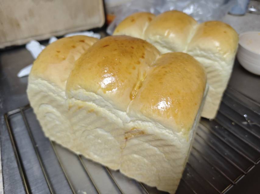 波兰种牛奶吐司