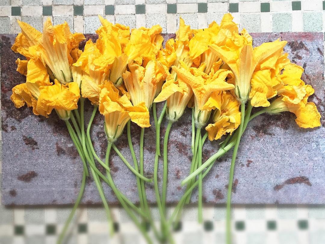 步骤图 解剖南瓜花的做法 解剖南瓜花的做法步骤 端午节 下厨房 步骤图 解剖南瓜花的做法 解剖南瓜花的做法步骤 端午节 下厨房