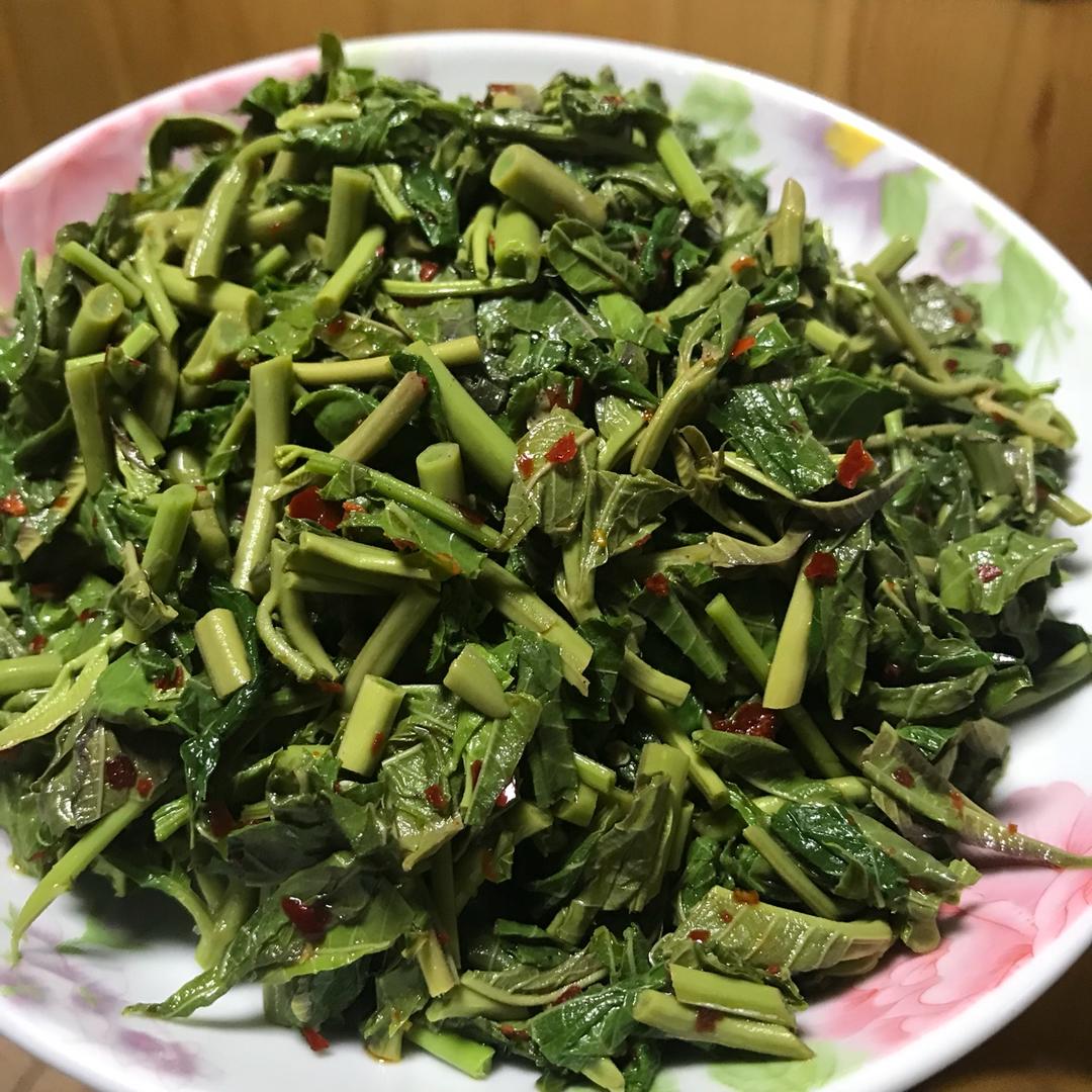 油辣香椿