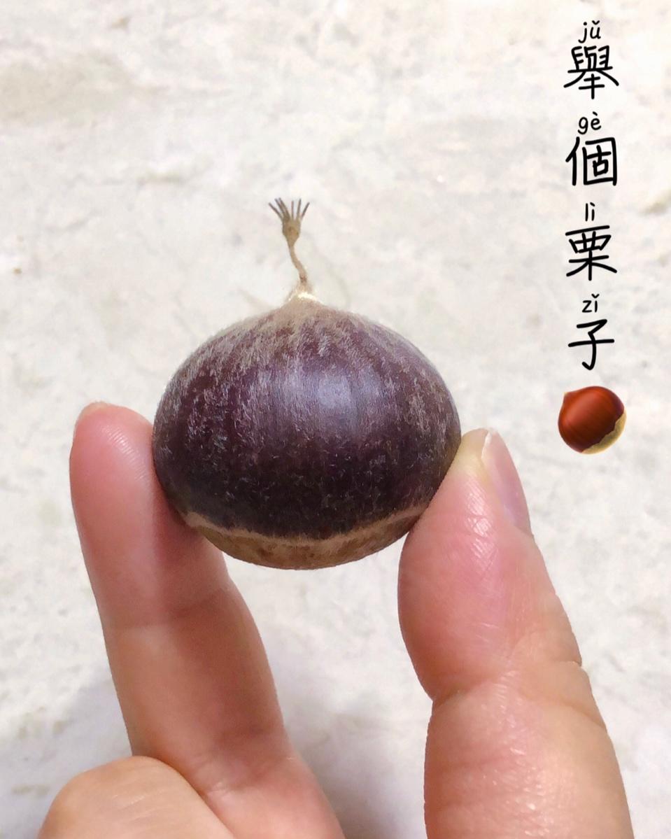 糖煮栗子