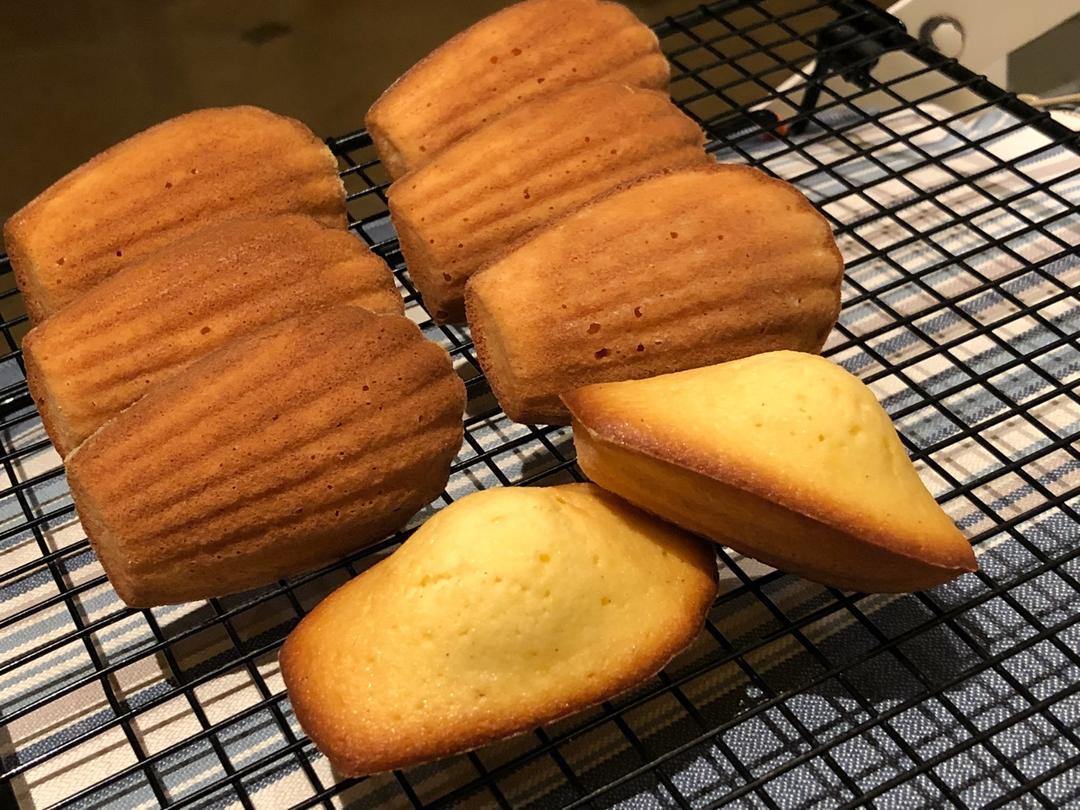 玛德琳（蓝带方）
