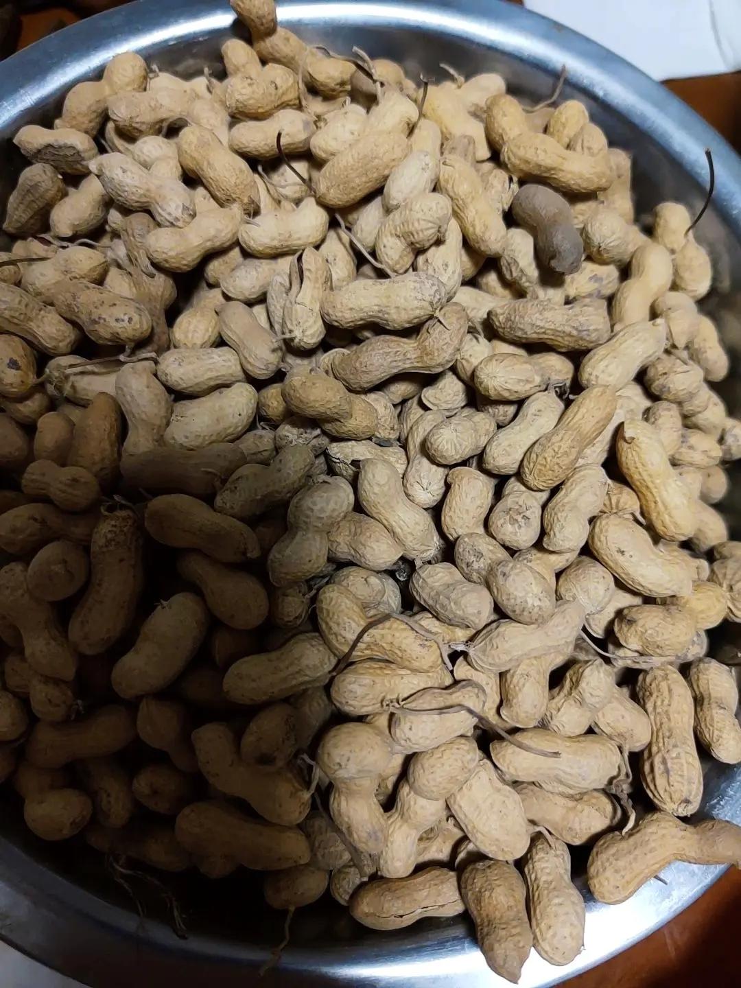 烤花生（烤箱版）