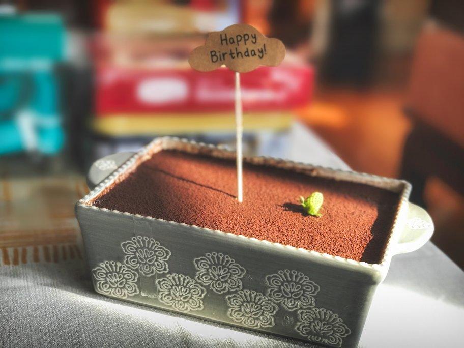 在欧洲学会的经典版提拉米苏