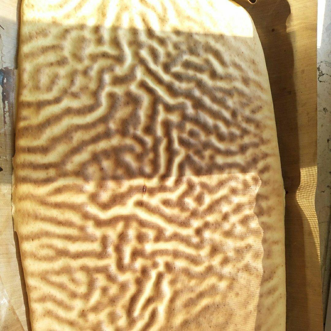 原味毛巾蛋糕卷