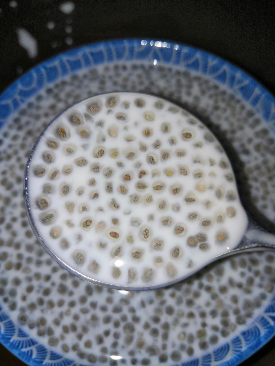 奇亚籽泡牛奶的做法