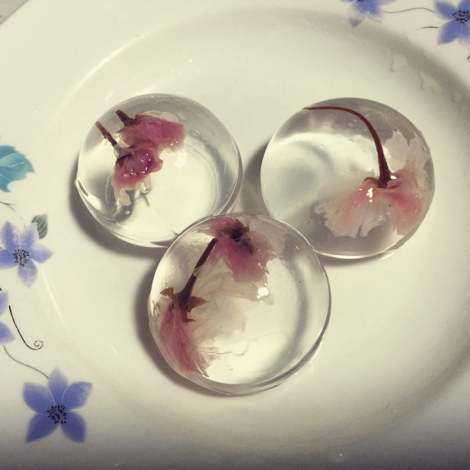 樱花水信玄饼