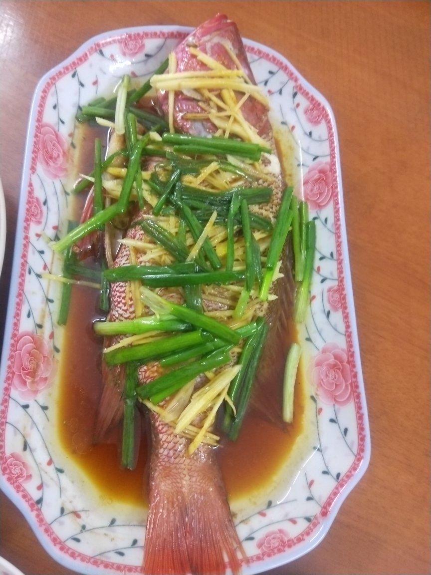 红瓜子斑鱼（深海鱼）