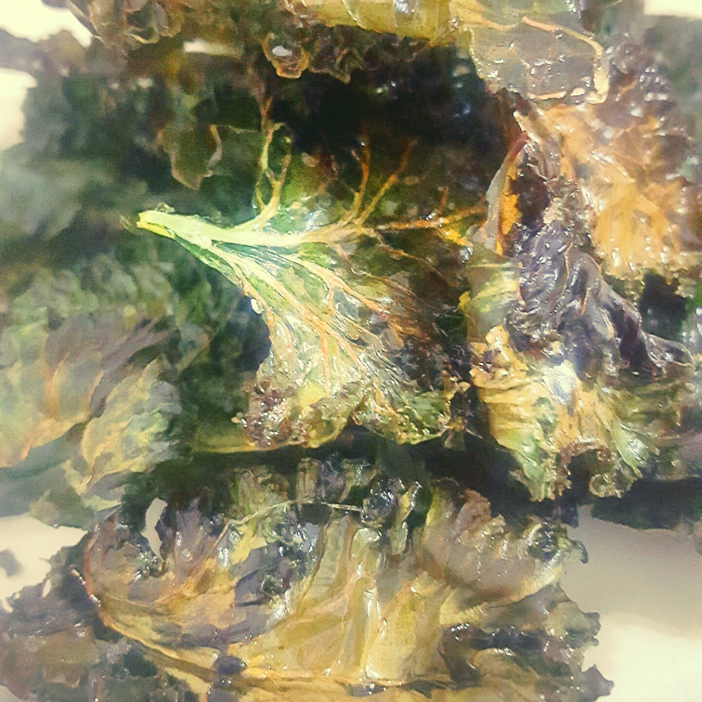 超级零食Kale chips羽衣甘蓝脆片