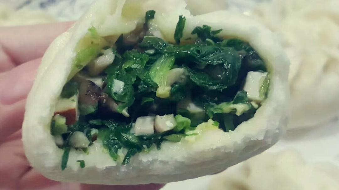 节省一半时间的大包子（另付翠绿菜包子，肉包子，腹黑包子食谱）