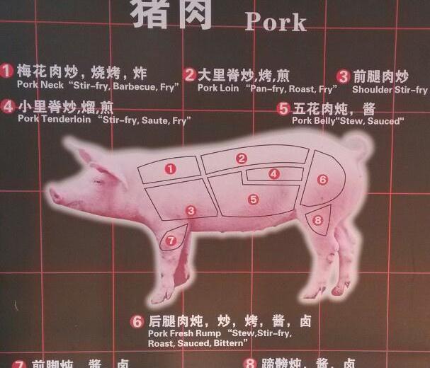各种猪肉都是猪猪身上哪部分