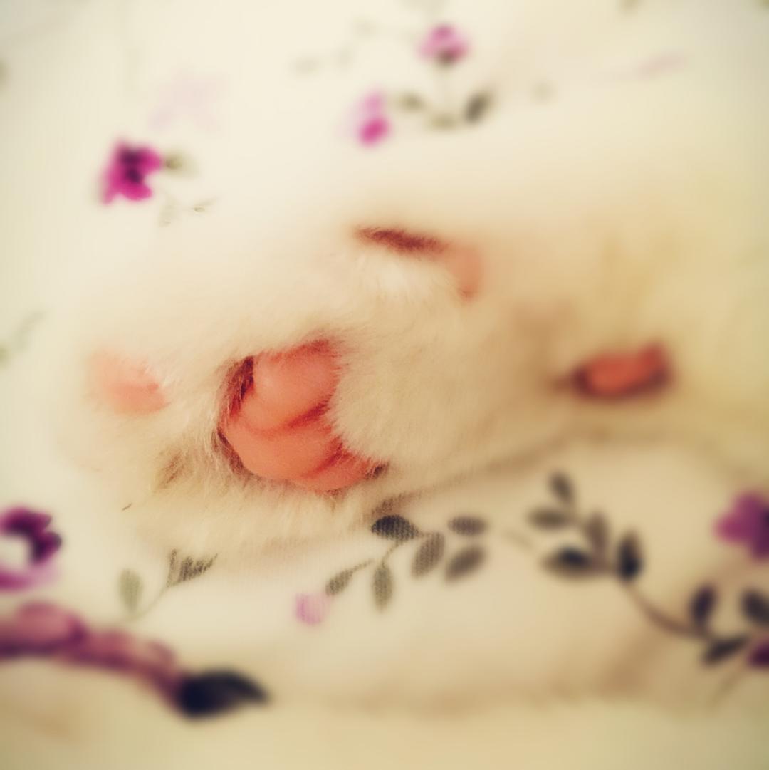 于斐