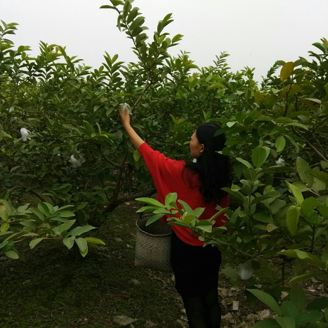 手机用户9932_l0bx