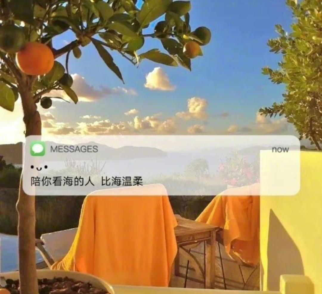 天线啦啦的小坡的厨房