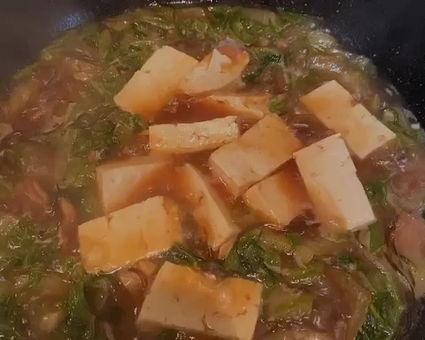 家常版白菜豆腐炖粉条的做法