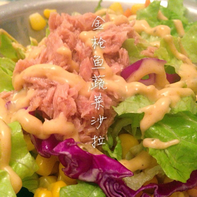 鲜蔬金枪鱼沙拉