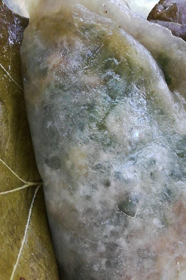 山海关桲椤叶饼