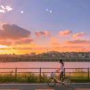 一点红豆