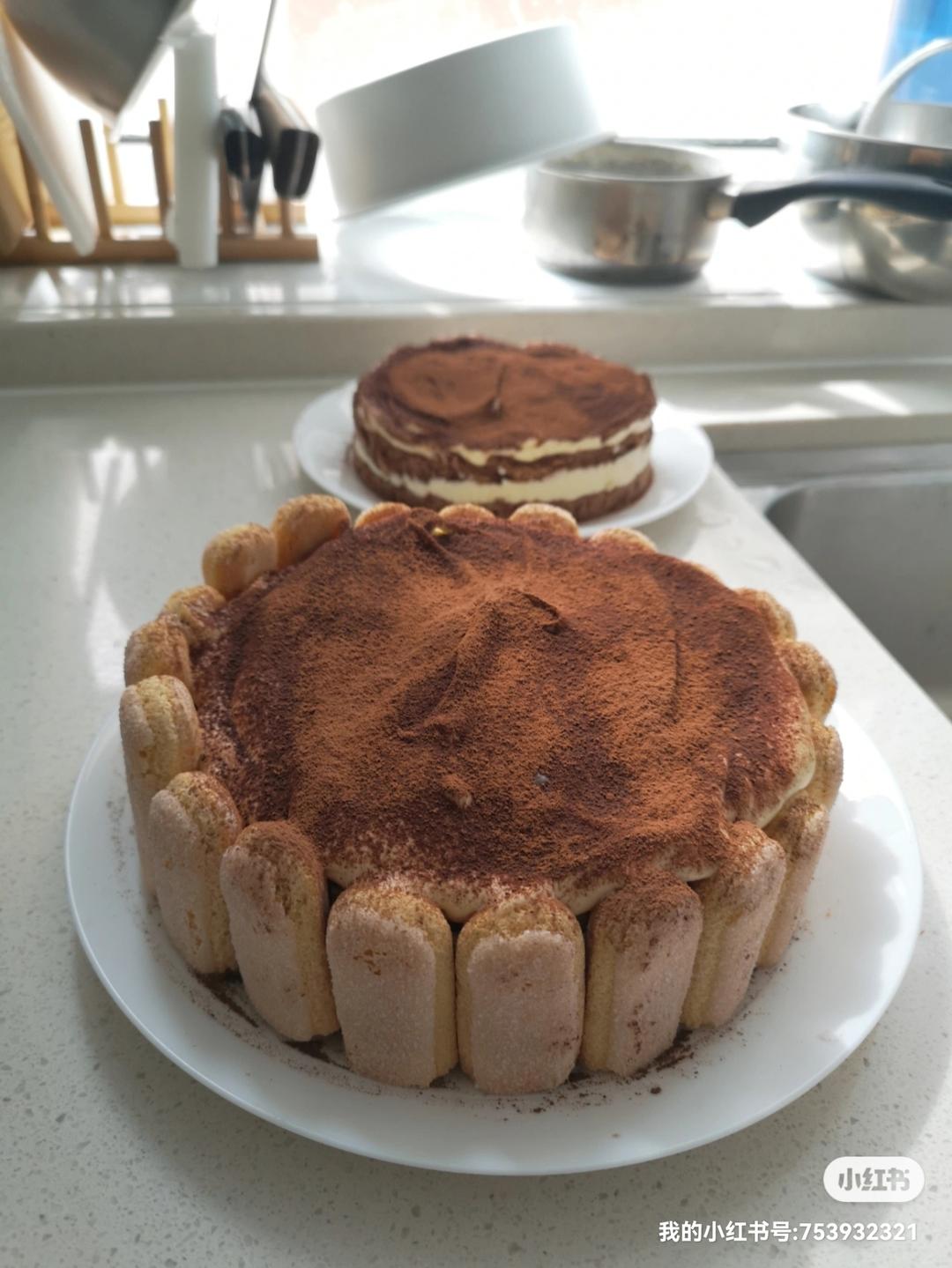 在欧洲学会的经典版提拉米苏