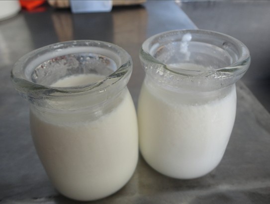 自制电饭煲酸奶