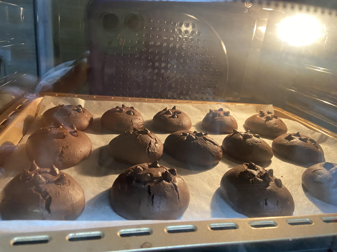 巧克力软曲奇(趣多多) 小美