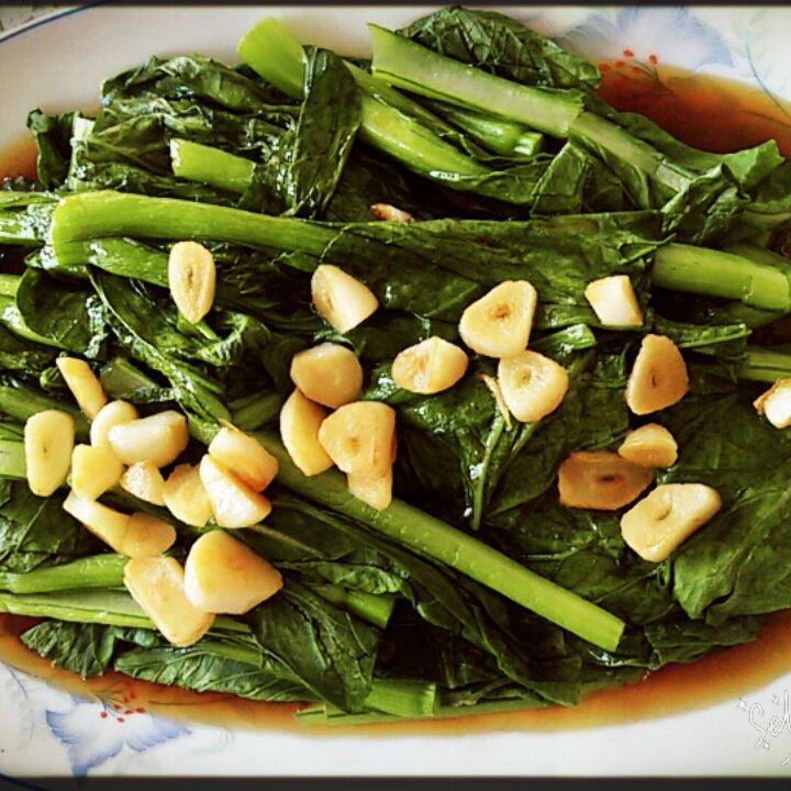 白灼菜心