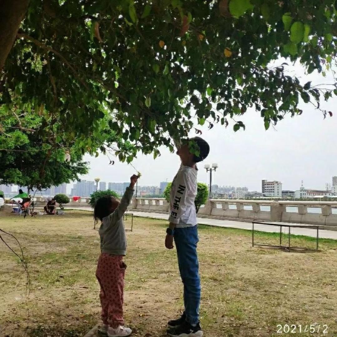 为爱做简单的饭