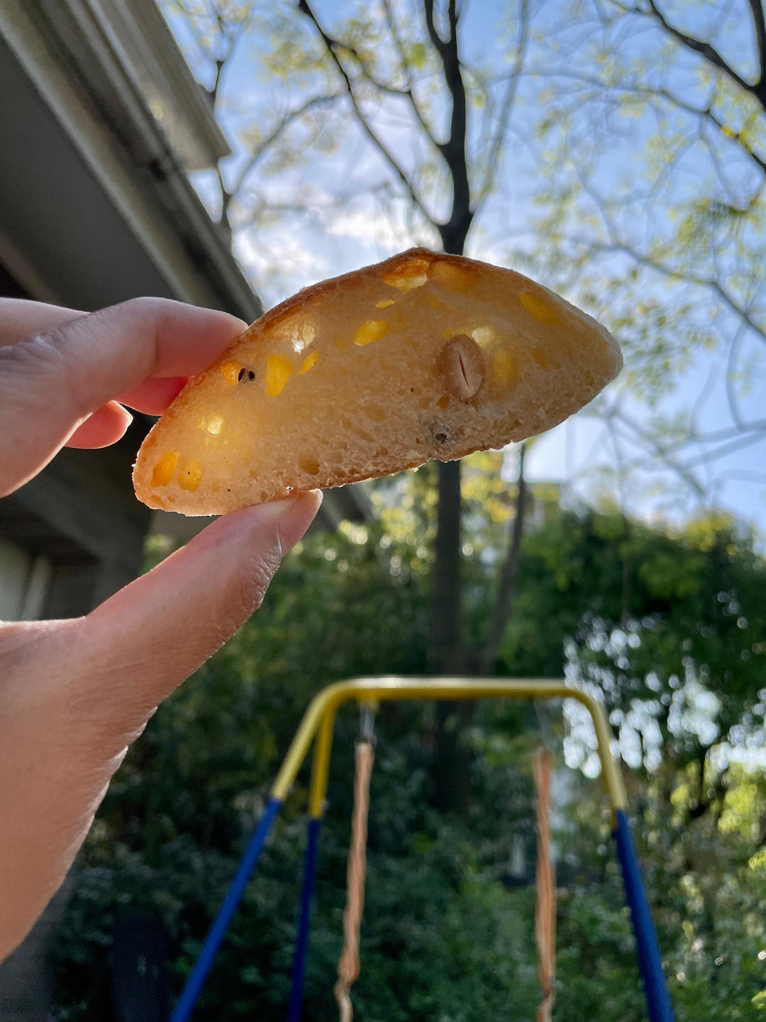 【保罗教你做面包】 夏巴塔 Ciabatta