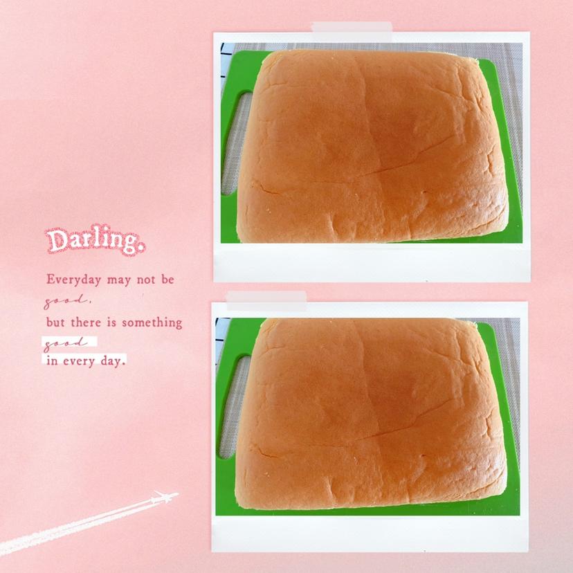 《Tinrry+》古早蛋糕 （10英寸配方）