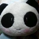 爱喝潮汕粥的熊猫